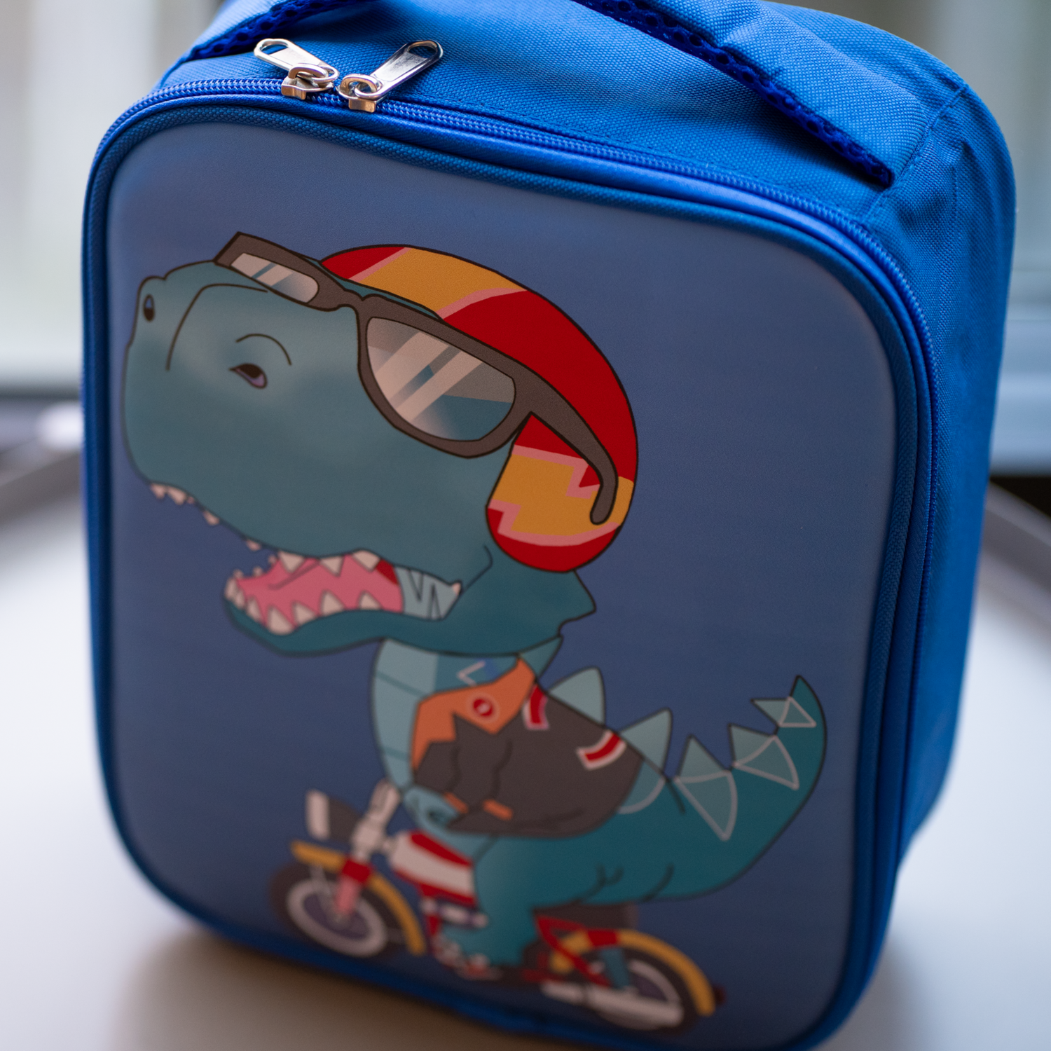 Explorer Lunch Bag